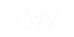 Netflix streaming platform logo