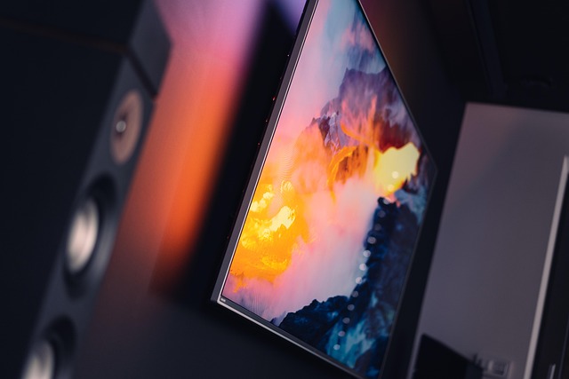 Television with speaker